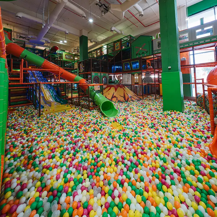 Fastest Slide & Ball Pit